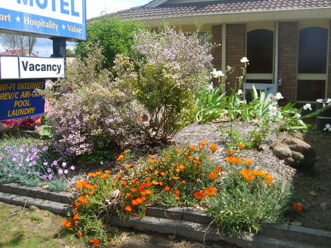 Albury City Motel - Northern Rivers Accommodation 29