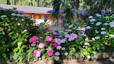Moruya Motel - Northern Rivers Accommodation 28