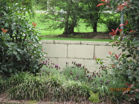 Moruya Motel - Northern Rivers Accommodation 16