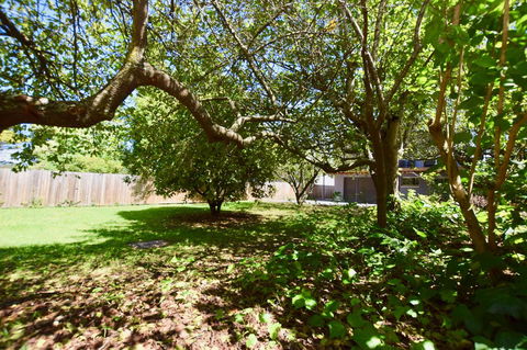 Wildlife Lodge Katoomba - Northern Rivers Accommodation 26