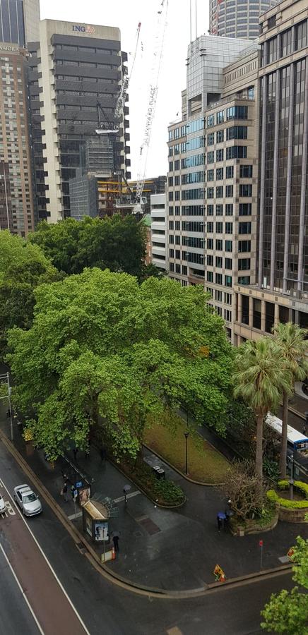 Madison Carrington Apartments - Northern Rivers Accommodation 1