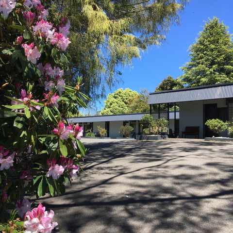 Sky Rider Motor Inn - Northern Rivers Accommodation 14