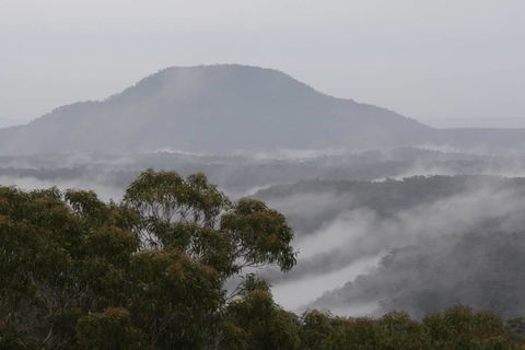 Christopher Tiny House - Northern Rivers Accommodation 5