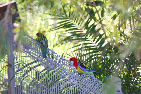 Marty's @ Little Beach - Northern Rivers Accommodation 27