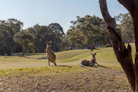 Horizons Retreat & Golf, Villa 133 - Northern Rivers Accommodation 18