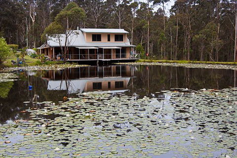 Jackson Ranch By Bannisters - Northern Rivers Accommodation 26