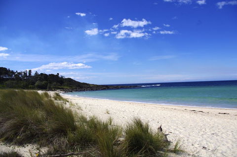 Jackson Ranch By Bannisters - Northern Rivers Accommodation 32