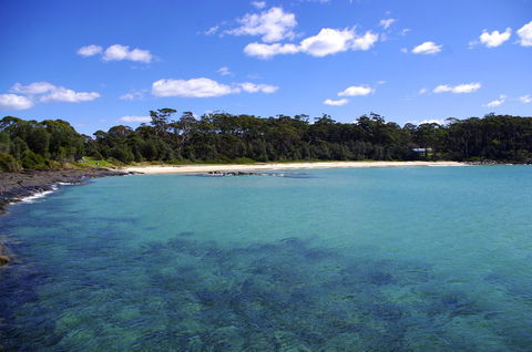 Jackson Ranch By Bannisters - Northern Rivers Accommodation 28