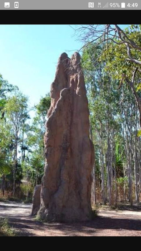 'Tropical Oasis - Darwin NT - Northern Rivers Accommodation 31