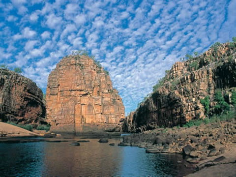Pine Tree Motel - Northern Rivers Accommodation 42