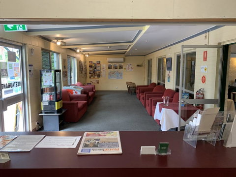 Pine Tree Motel - Northern Rivers Accommodation 36