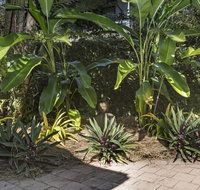 Nineteen on Nudl - Northern Rivers Accommodation
