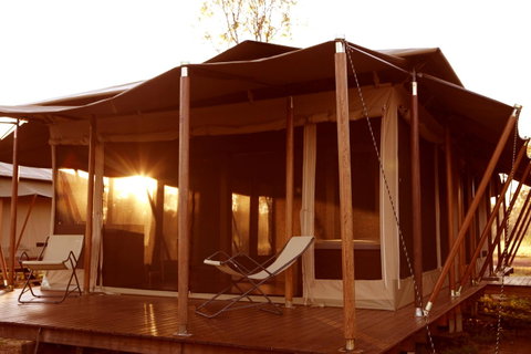 Wildman Wilderness Lodge - Northern Rivers Accommodation 6