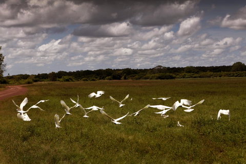Wildman Wilderness Lodge - Northern Rivers Accommodation 20