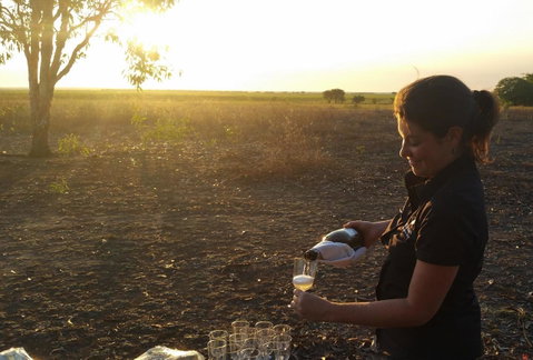 Wildman Wilderness Lodge - Northern Rivers Accommodation 22