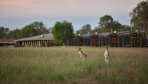 Wildman Wilderness Lodge - Northern Rivers Accommodation 0