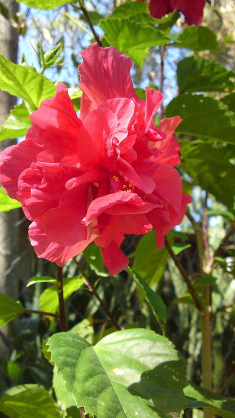 Darwin Beach Escape Holiday Home - Northern Rivers Accommodation 24