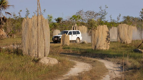 Darwin Beach Escape Holiday Home - Northern Rivers Accommodation 40
