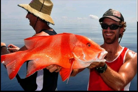 Darwin Beach Escape Holiday Home - Northern Rivers Accommodation 39