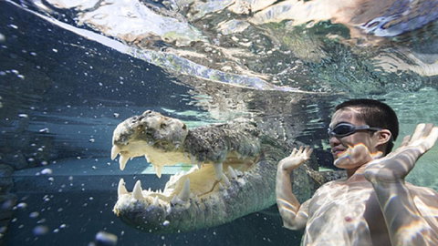 Darwin Beach Escape Holiday Home - Northern Rivers Accommodation 33