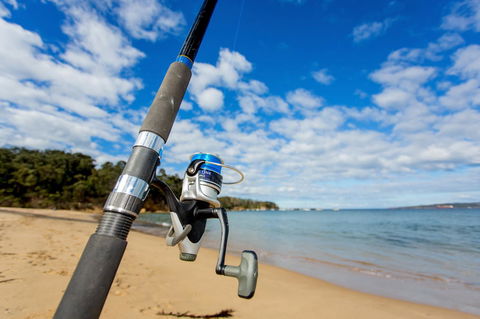 Ingenia Holidays Eden Beachfront - Northern Rivers Accommodation 23