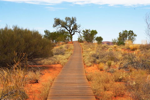 Discovery Resorts - Kings Canyon - Northern Rivers Accommodation 27