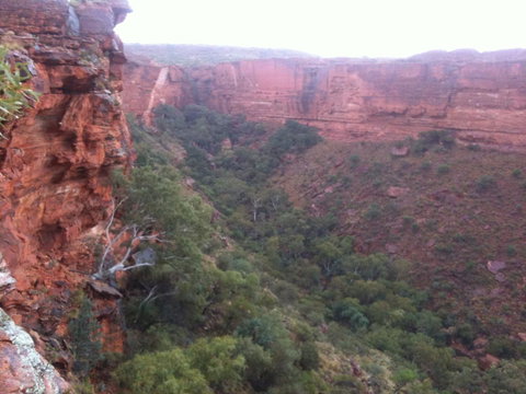 Discovery Resorts - Kings Canyon - Northern Rivers Accommodation 34
