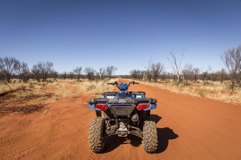 Discovery Resorts - Kings Canyon - Northern Rivers Accommodation 5