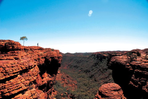 Discovery Resorts - Kings Canyon - Northern Rivers Accommodation 38