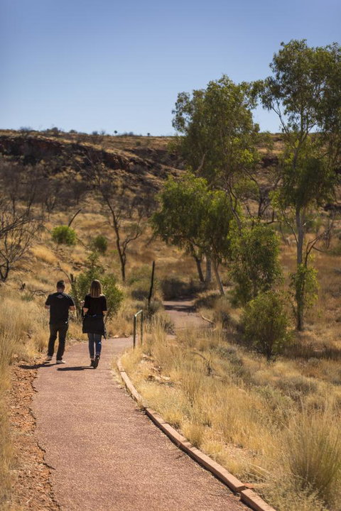 Discovery Resorts - Kings Canyon - Northern Rivers Accommodation 16