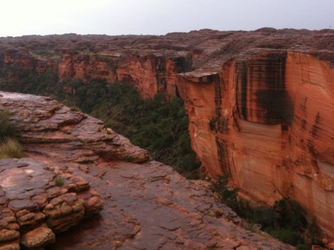 Discovery Resorts - Kings Canyon - Northern Rivers Accommodation 35
