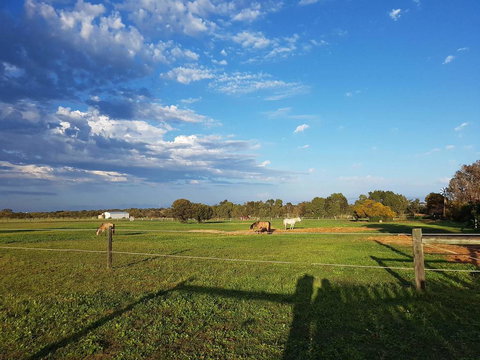 Bonsai B&B Stay - Northern Rivers Accommodation 1