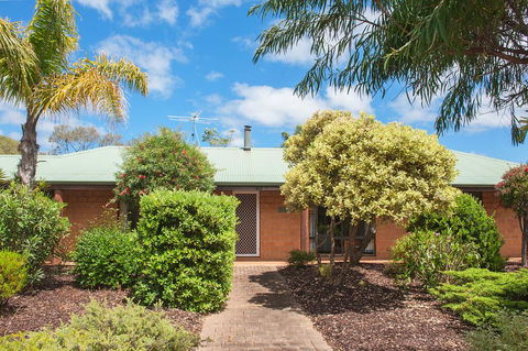 Bottlebrush - Northern Rivers Accommodation 1