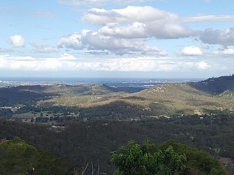 Bottletree Gardens - Mini Manson Blue - Northern Rivers Accommodation 2