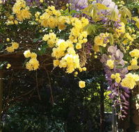 Bowral Road Bed and Breakfast - Northern Rivers Accommodation