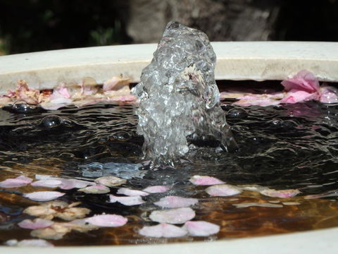 Bowral Road Bed And Breakfast - Northern Rivers Accommodation 2
