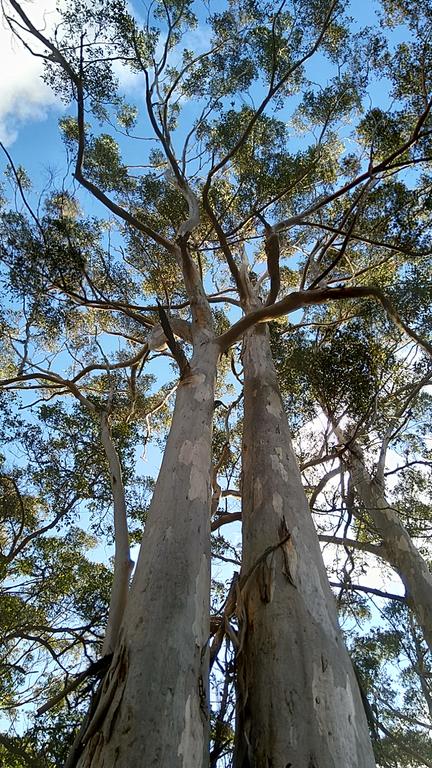 Broxholme B&B - Northern Rivers Accommodation 3
