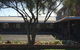 Bryants Motel - thumb 0