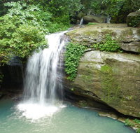 Buderim Forest Hideaway - Northern Rivers Accommodation