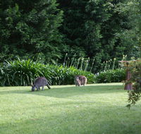 Bundanoon 2578 - Northern Rivers Accommodation