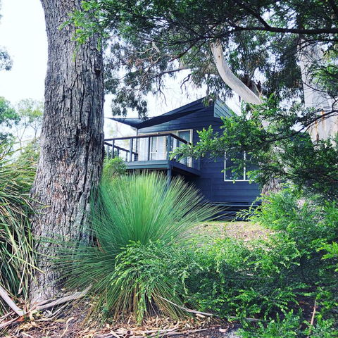 Bush Hideaway By The Beach - Northern Rivers Accommodation 3