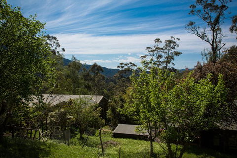 Buttercup Hill - Northern Rivers Accommodation 2