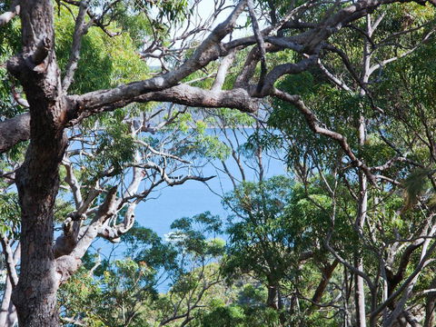 Bynya - 100m To Jonahs! - Northern Rivers Accommodation 1