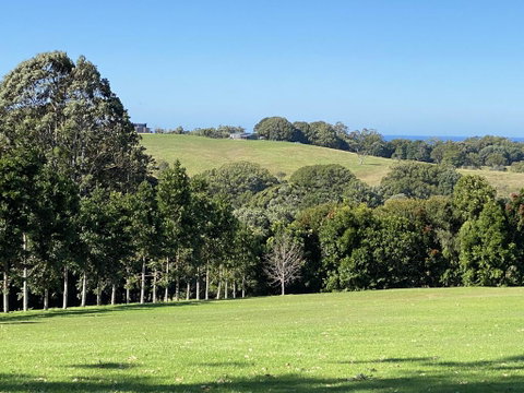 Byron Hinterland House - Minutes To Everything! - Northern Rivers Accommodation 0