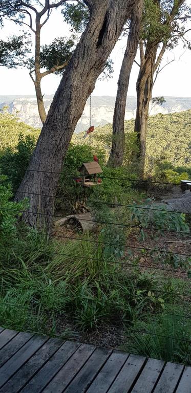 Canyon Cottage - Northern Rivers Accommodation 3