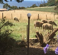 Cape View B and B - Northern Rivers Accommodation