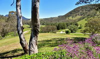 Book Capertee Accommodation Vacations Northern Rivers Accommodation Northern Rivers Accommodation