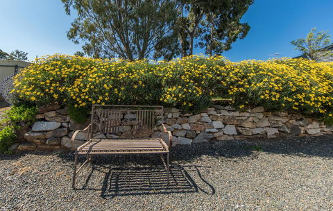 Captain Rodda's Cottage - Northern Rivers Accommodation 3