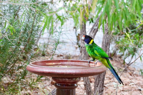 Caves Road Chalets - Northern Rivers Accommodation 0
