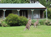Book Mount Victoria Accommodation Vacations Northern Rivers Accommodation Northern Rivers Accommodation